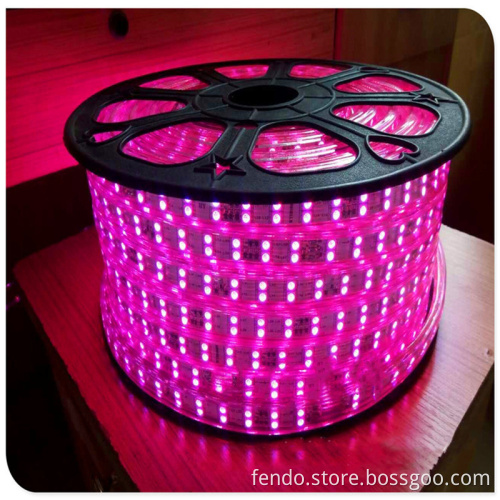 IP65 PVC Cover Double-Row Smart RGB LED Light Strip 5050 SMD 220V